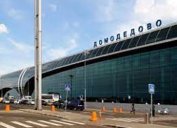 предприятия аэропорта Домодедово